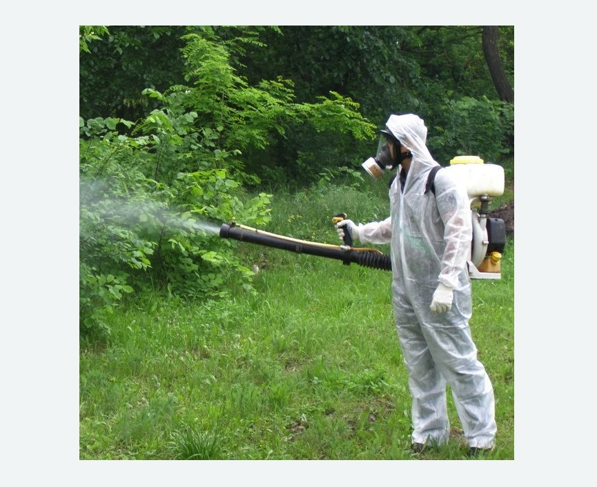 обработка территории от клещей в Обручевском районе Москвы