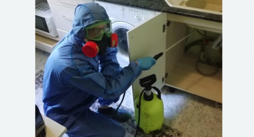 Уничтожение муравьев в квартире. Обручевский район