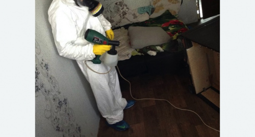 Обработка квартир от насекомых в Обручевском районе Москвы