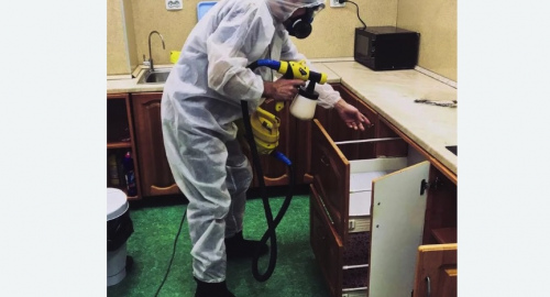 Дезинсекция квартиры. Обручевский район
