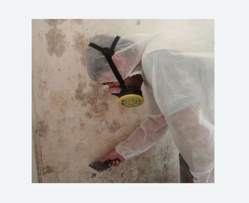 Обработка стен от плесени в Обручевском районе Москвы