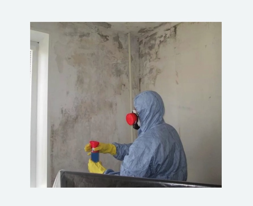 Удаление плесени в квартире в Обручевском районе Москвы