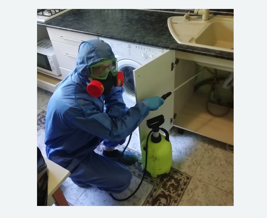 обработка от муравьев в квартире в Обручевском районе Москвы