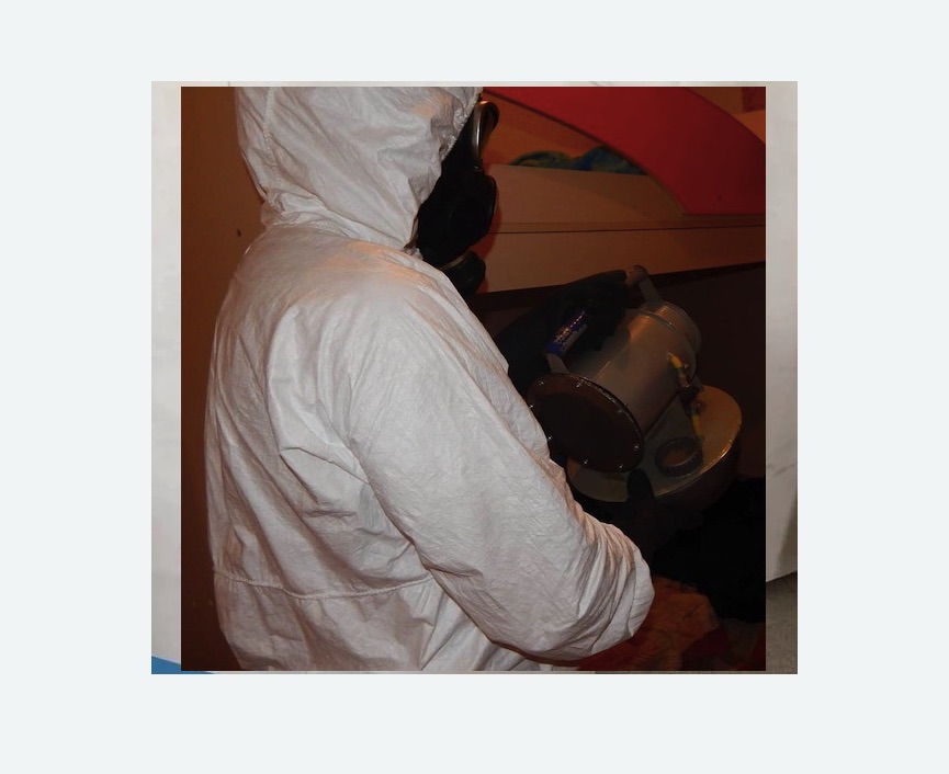 Дезинфекция от муравьев в Обручевском районе Москвы